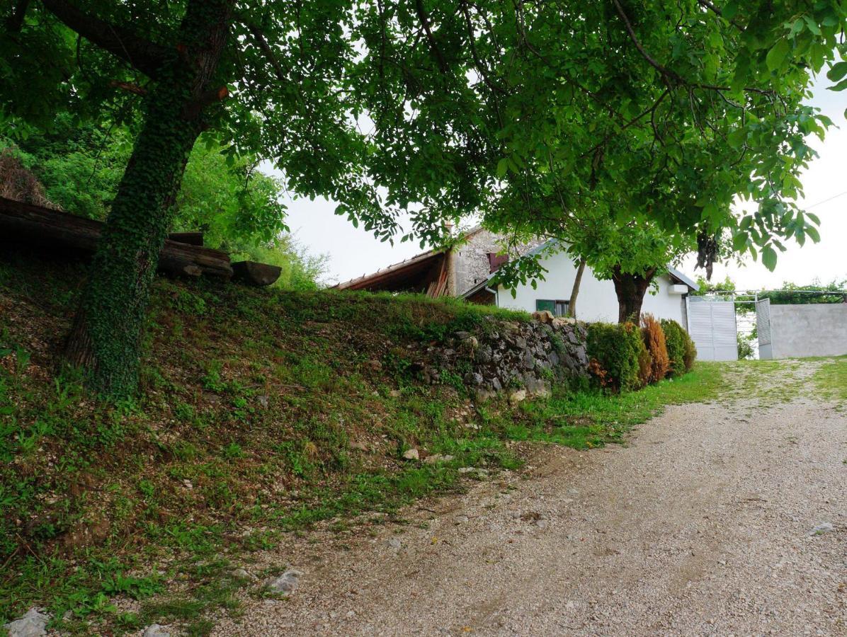 Old House Kontic Apartment Niksic Exterior photo